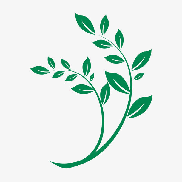 树木树叶免抠