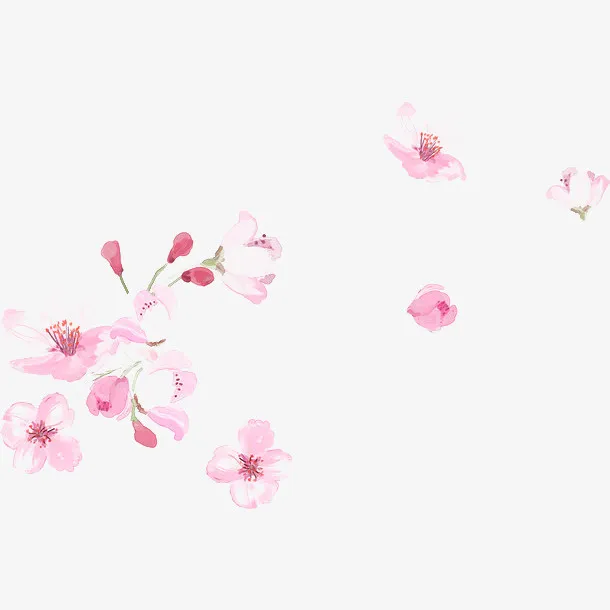教师节矢量手绘康乃馨水彩画免抠