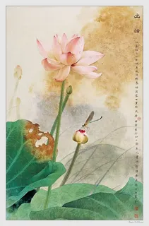 邹传安国画寄荷花绽放免抠