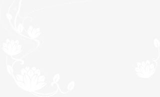 矢量白色莲花背景免抠