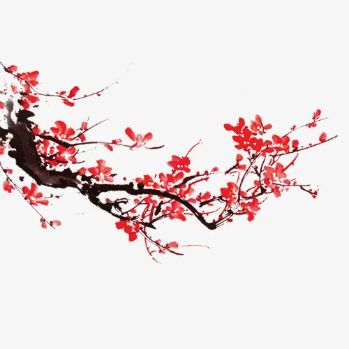 树枝免抠