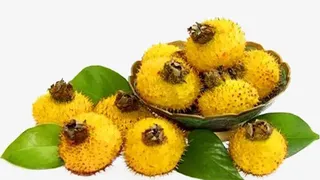 满满的刺梨免抠