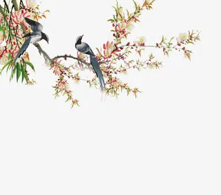 桃花枝叶鸟免抠