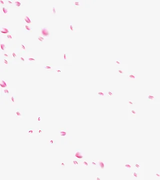 漫天飞舞粉色花瓣免抠