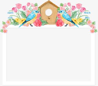 手绘花手绘小鸟信件边框免抠