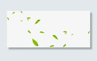 漂浮树叶美景绿色免抠