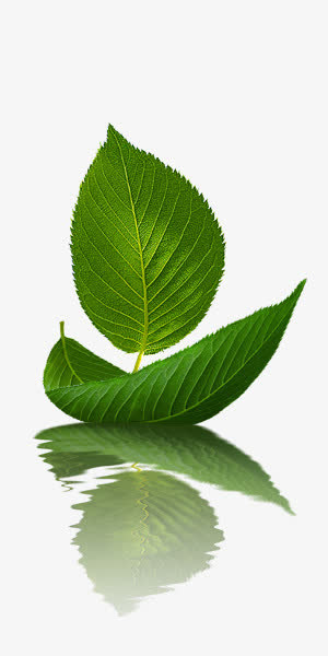 漂浮的小船免抠