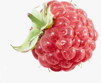 莓果素材免抠