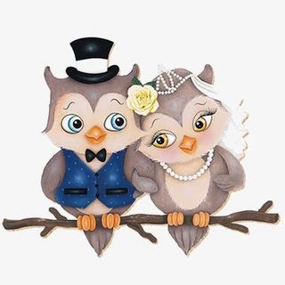 卡通猫头鹰新婚夫妇免抠