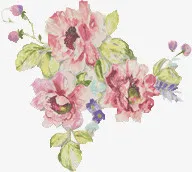 彩绘牡丹花粉红花朵花丛免抠