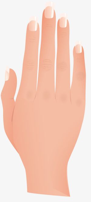 矢量手指素材免抠