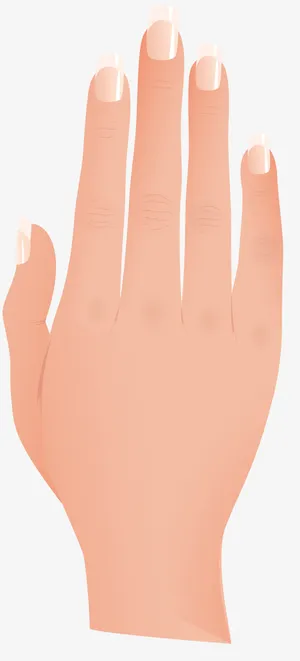 矢量手指素材免抠