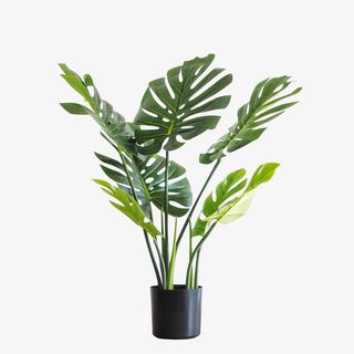 绿色植物盆栽装饰物免抠