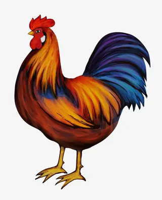 手绘唯美公鸡免抠