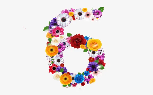 鲜花数字6免抠