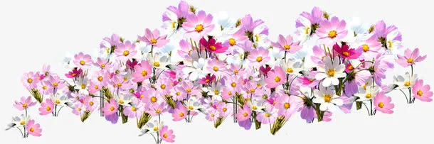 春天粉白色清新花海免抠