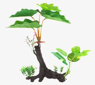 仿真水沉木水草布景树脂免抠