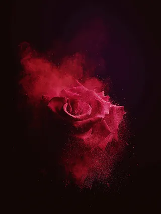 大红色玫瑰花背景高清