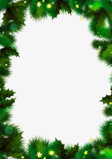 手绘圣诞节植物星星免抠