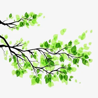 现代简约绿色树枝免抠