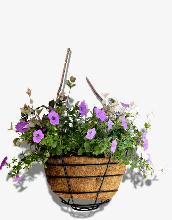 春天紫色摆件花朵免抠