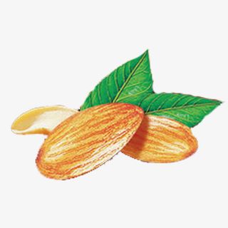 简约杏仁实物免抠