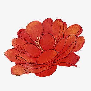 红色盛开唯美花朵免抠
