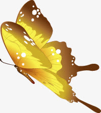 蝴蝶花纹边框素材免抠