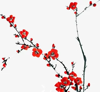 红色梅花免抠