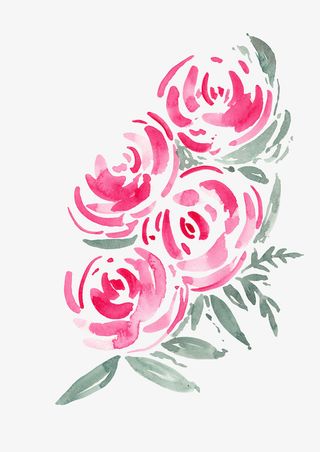 水彩植物花朵免抠