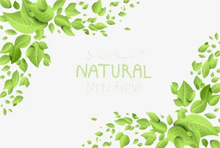 字母绿叶边框免抠