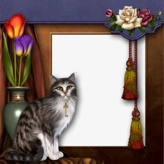 最美相框114免抠