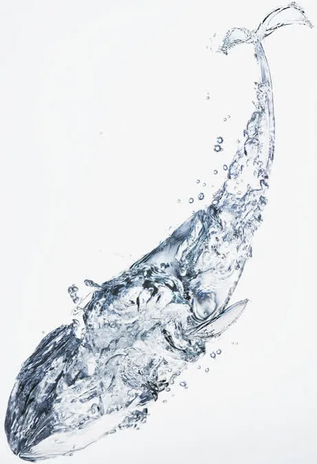 水做的鲸鱼免抠