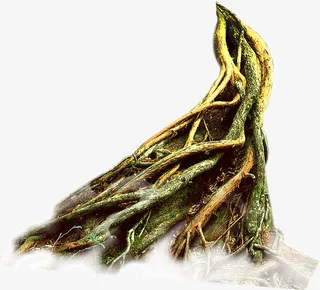 树根免抠