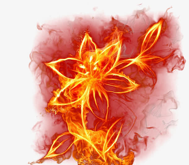 火焰花朵素材免抠