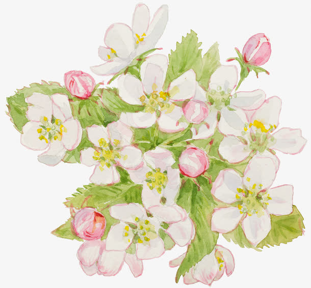 油彩花丛免抠