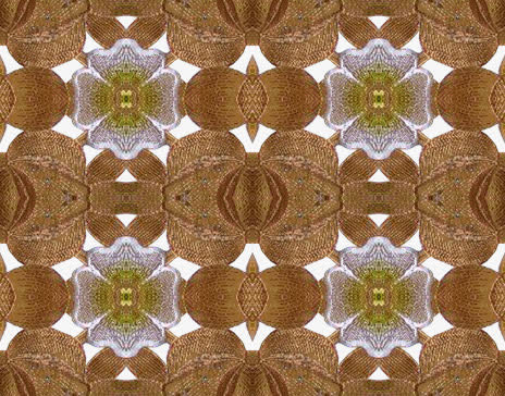 矢量花纹镂空花纹免抠