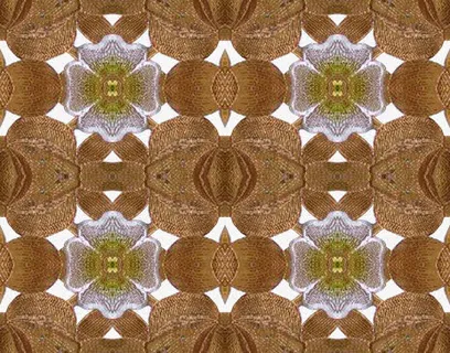 矢量花纹镂空花纹免抠