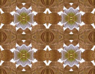 矢量花纹镂空花纹免抠