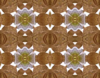 矢量花纹镂空花纹免抠