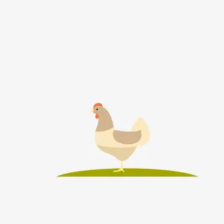 农场的鸡免抠