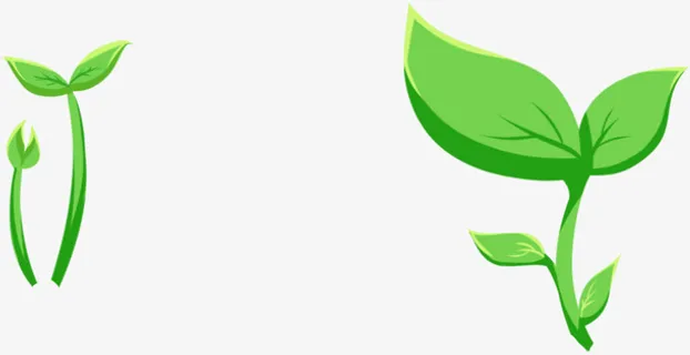 绿芽树枝发芽免抠
