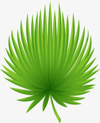 棕榈叶叶子矢量素材图免抠
