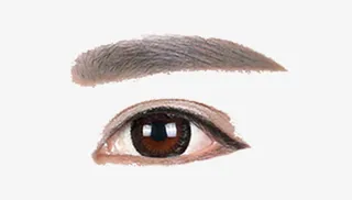 染过颜色的眉毛免抠