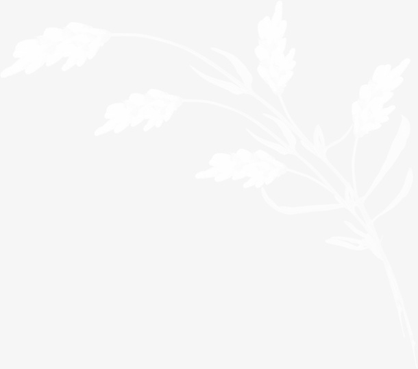 白色漂亮枝叶免抠