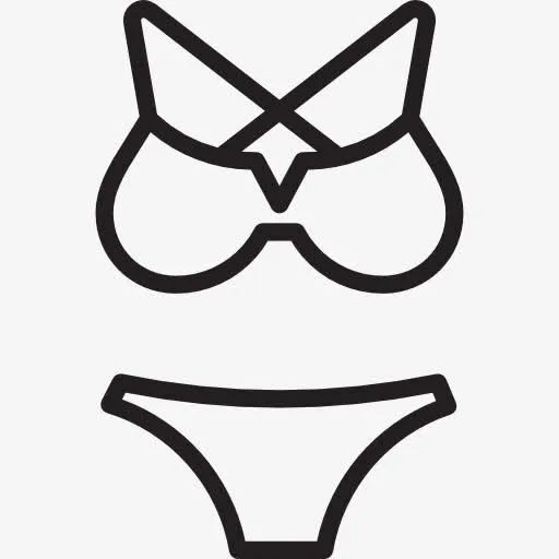 Bikini Pieces 图标免抠