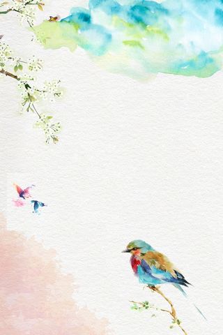 化妆品沐浴露夏季清新海报背景素材高清