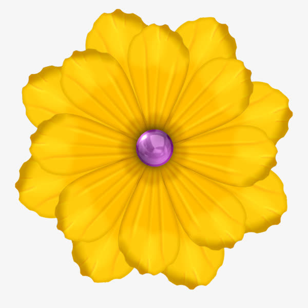 黄色鲜花免抠