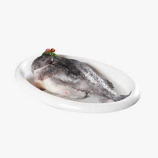 实物 海参斑 海鲜免抠