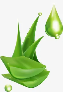 女性化妆品设计矢量素材,免抠